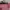 Fendi Luxury Handbag Wanita pink photo 3