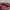 Fendi Luxury Handbag Wanita pink photo 5