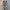 Nike Streetwear Sportswear Sneakers Pria silver gray photo 3