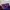 The North Face Luxury Futurist Bag Pria purple photo 4