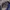 The North Face Luxury Futurist Bag Pria purple photo 6