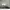 Adidas Luxury Minimalist Casual shoe Pria multicolor photo 5
