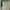 Adidas Luxury Minimalist Casual shoe Pria multicolor photo 3