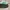 Adidas Luxury Minimalist Casual shoe Pria multicolor photo 1