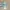 Adidas Luxury Minimalist Casual shoe Pria multicolor photo 2