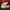 Vans Authentic Decon Leather Amberlight photo 3