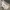 Adidas Sportswear Minimalist Sweater Pria Gray