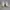 Balenciaga Triple S Transparan Outsole 'White' photo 4