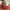 Topi Vintage Rope Hat Wall moulding photo 3