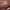 Mango Minimalist Casual Handbag Wanita brown photo 5
