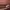 Mango Minimalist Casual Handbag Wanita brown photo 6