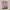 Y2K grunge punk emo pink floyd longsleeve photo 4