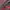 Streetwear Sportswear Backpack Wanita red black photo 6