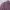 Casual Muslim Sweater Wanita purple photo 2