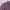Casual Muslim Sweater Wanita Purple