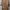 Gaudi Casual Muslim Midi dress Wanita yellow photo 2