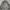 Rogatis Green Label Casual Work Harrington Jacket photo 5
