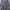 Minimalist Casual Trench Coat Wanita Pink Gray
