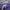 Minimalist Casual Sweater Wanita purple photo 4
