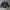 Black camo korean style crewneck photo 2