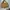 Fossil Vintage Lima Empat Shoulder Bag