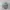 Vintage Streetwear Hat Pria Multicolor