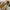 Fossil Vintage Patchwork shoulder bag photo 5