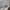 FUCKING AWESOME  SK8 FUCKS WHITE HOODIE SWEATER | OUTERWEAR  photo 3