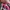 Puma Indie Casual Sneakers Wanita green pink photo 8