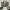 Fossil Madox Medium Satchel Seaglass photo 3
