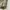 Military Canvas Tote Bag like Rrl Stellwell Tote photo 4