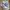 Asics Casual Sneakers Pria multicolor photo 1