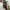 Fossil Madox Mini crossbody Patchwork photo 3