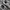 New Balance Sportswear Casual Sneakers Pria white gray photo 4