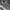 New Balance Sportswear Casual Sneakers Pria white gray photo 2