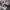 New Balance Sportswear Casual Sneakers Pria white gray photo 6