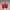 Salomon Indie Sneakers Pria white red photo 1