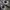 New Balance Sportswear Indie Sneakers Pria white gray photo 4