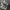 New Balance Sportswear Indie Sneakers Pria white gray photo 6