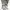 Japanese brand Y2K Coquette Shirt Wanita white black photo 4