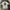 Kaos adidas creators crew photo 2