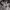Tsumori chisato Tshirt

 photo 4