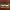 Coach sneaker tail photo 4