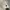 Longsleeve Knickknack Gliter  photo 7