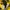 Billionaire Boys Club Streetwear Y2K Hoody Pria yellow photo 6