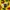 Billionaire Boys Club Streetwear Y2K Hoody Pria yellow photo 5