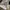 Balenciaga Luxury Casual Sneakers Pria silver gray photo 6