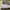 Nike Air Force 1 Low Triple White photo 5