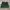 Grunge Goth Skirt Wanita Green