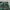 Grunge Goth Skirt Wanita green photo 2